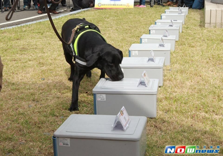 2015年12月08日總統候選人 維安裝備首亮相a