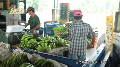 台灣旅遊節目 台灣旅遊節目