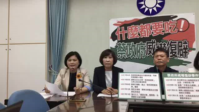 2017年10月17日中國國民黨立法院黨團「什麼都要吃!蔡政府威權復辟」記者會