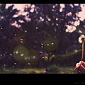 IMG_2614_800.png