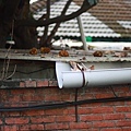IMG_5952.JPG