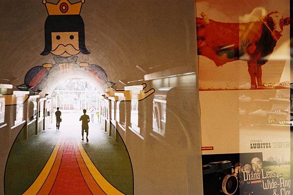 F1000016 YASHICA GSN X  OLYMPUS 35DC XFUJIFILM SUPERIA X-TRA 400 MX Shirely.JPG