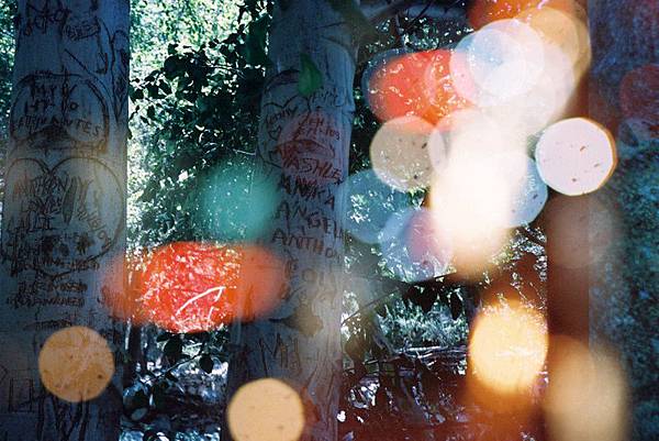 F1000031 CANON EOS 50 85mm F1.4 + LOMO LC-A+ X kODAK PORTRA 400VC.JPG