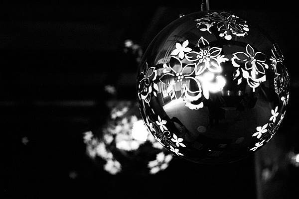 F1050007 YASHICA GSN X Kodak ISO 80 push 400.jpg