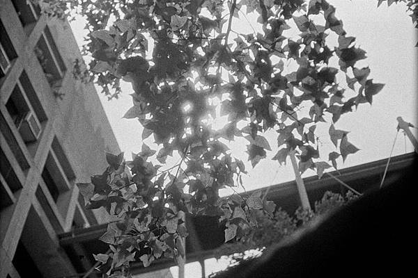 F1050018 YASHICA GSN X Kodak ISO 80 push 400.jpg