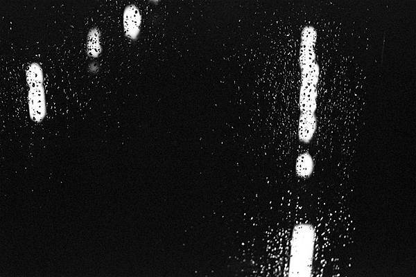 F1050010 YASHICA GSN X Kodak ISO 80 push 400.jpg