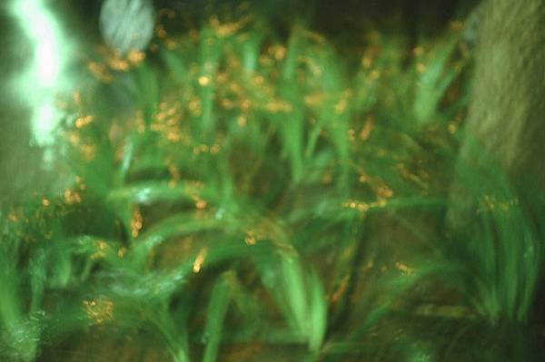 000002820019 OLYMPUS WIDE X FUJICHROME SENSIA 100.jpg