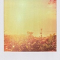 2011-11-SX-70-0003.jpg