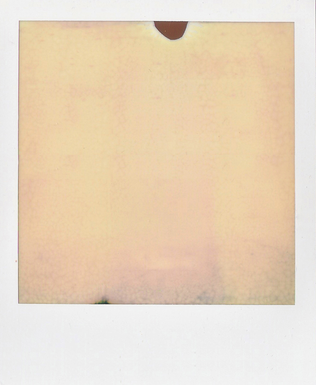 SX70-20111219-0002.jpg