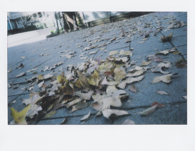 20120212 instax210 0003 by Rose.jpg