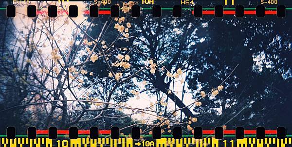 000006 Lomo Sprocket Rocket + X Fujifilm X-TRA 400