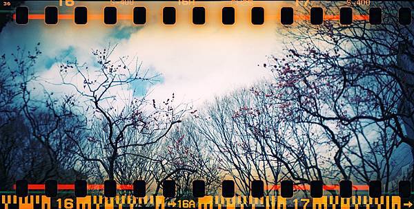 000009 Lomo Sprocket Rocket + X Fujifilm X-TRA 400