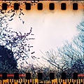 000010 Lomo Sprocket Rocket + X Fujifilm X-TRA 400