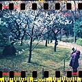 000011 Lomo Sprocket Rocket + X Fujifilm X-TRA 400