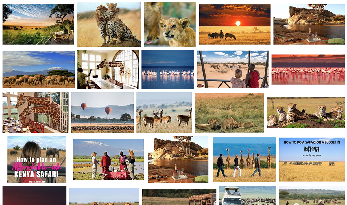 pre 007.jpg pre 007.jpg