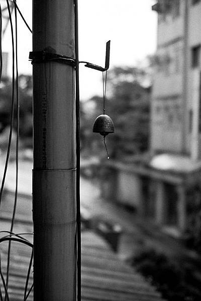 F1030020 OLYMPUS 35DC X KODAK T-MAX 400.jpg