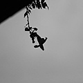 IMG_9305.JPG