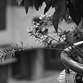 IMG_9328.JPG