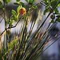 IMG_0859.JPG