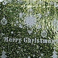 IMG_3198.jpg