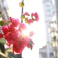 _MG_4369.jpg