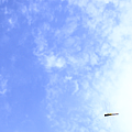 IMG_2124.png