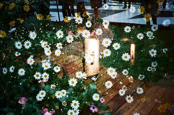 000149560006 LCA+ x X-TRA 400.jpg