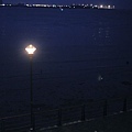 _MG_7226.JPG