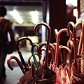 _MG_0526.JPG