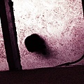 IMG_9154.jpg