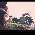 IMG_2594_800.png