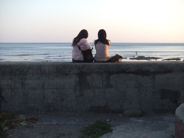 追夕陽追到萬里桐