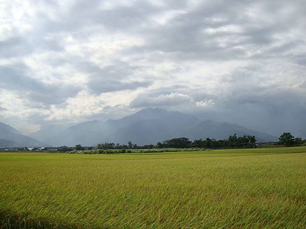 20140628花東四日遊 283