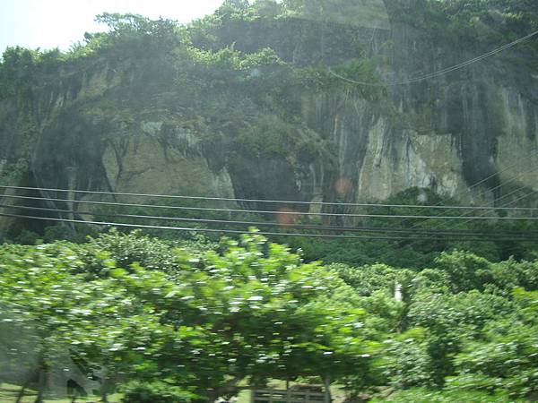 20140628花東四日遊 826