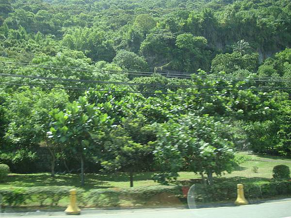 20140628花東四日遊 824