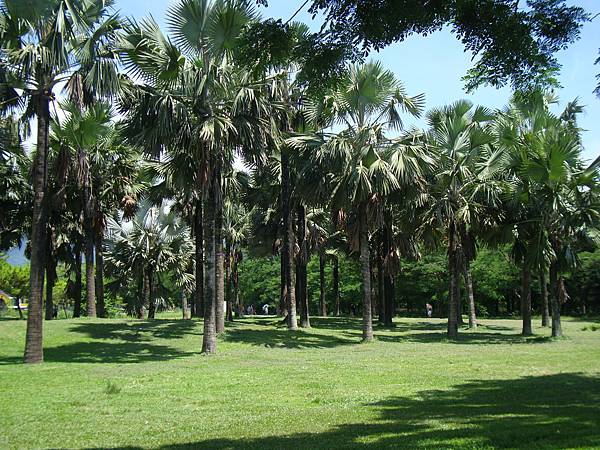 20140628花東四日遊 1103