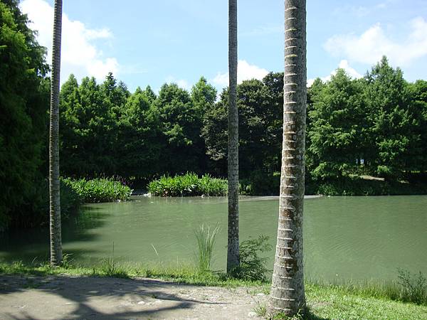 20140628花東四日遊 1099