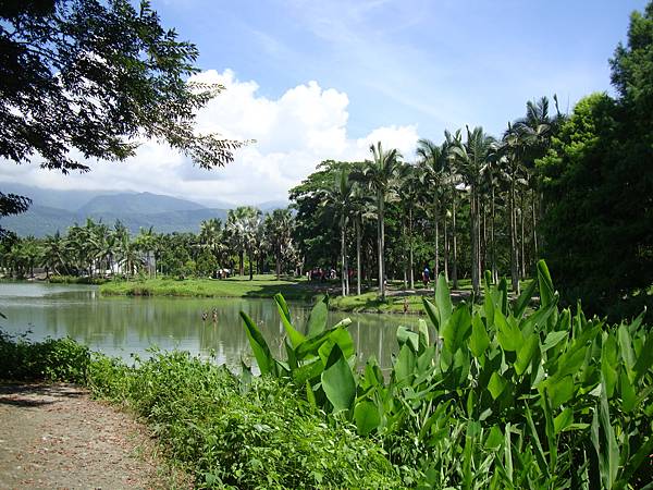 20140628花東四日遊 1089