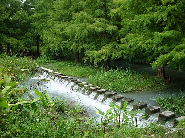 111017~19秋遊花蓮 263