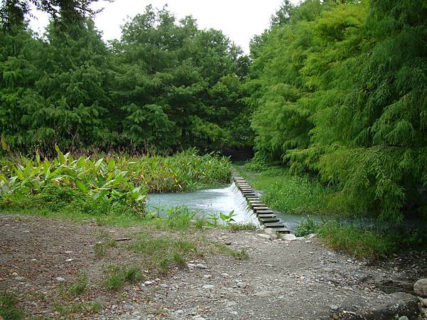 111017~19秋遊花蓮 262