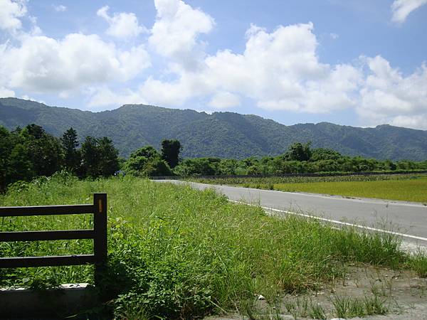 20140628花東四日遊 1083 20140628花東四日遊 1083