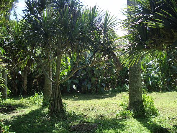 20140628花東四日遊 1081