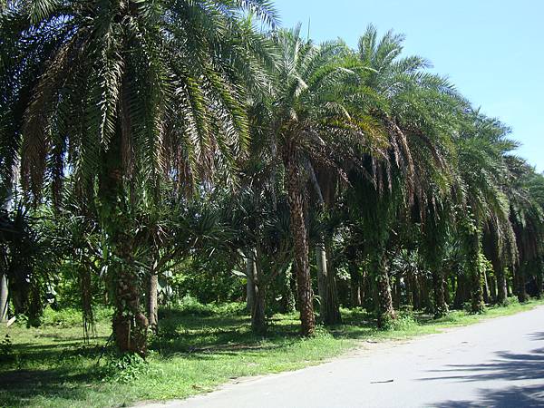 20140628花東四日遊 1080