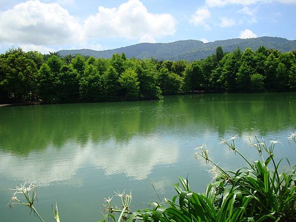 20140628花東四日遊 1117 20140628花東四日遊 1117
