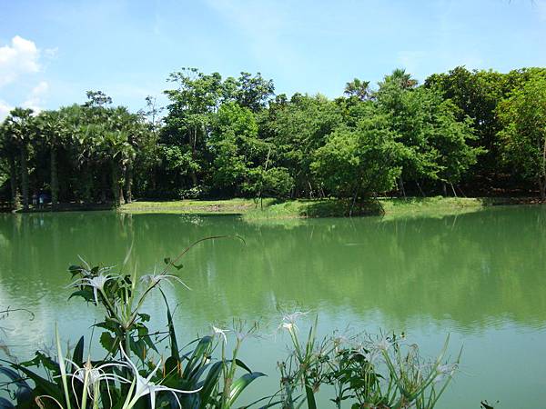 20140628花東四日遊 1116 20140628花東四日遊 1116