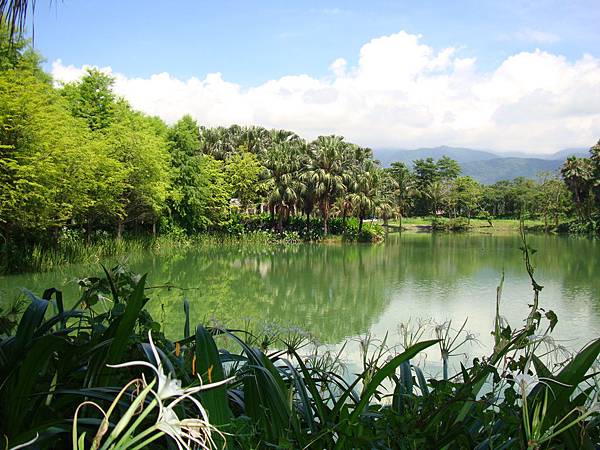 20140628花東四日遊 1115 20140628花東四日遊 1115