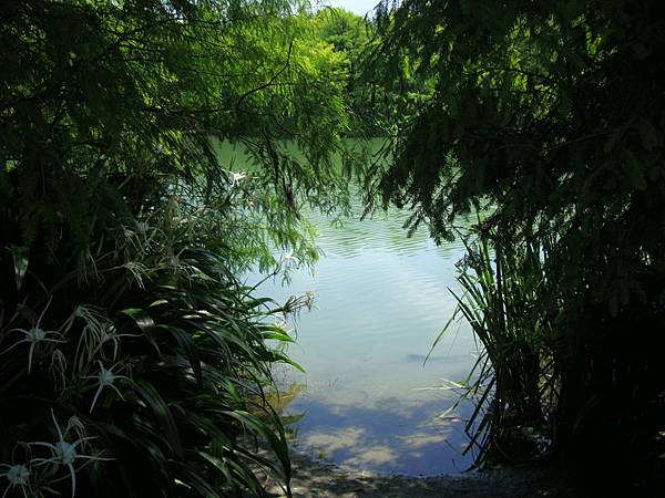 20140628花東四日遊 1111