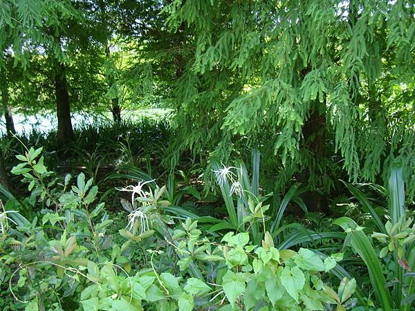20140628花東四日遊 1110