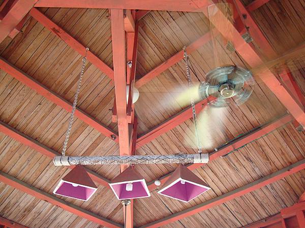 20140628花東四日遊 1172 20140628花東四日遊 1172