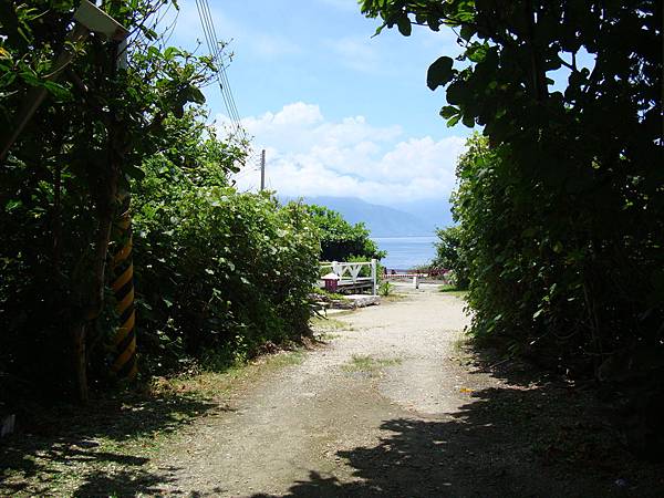 20140628花東四日遊 1146 20140628花東四日遊 1146